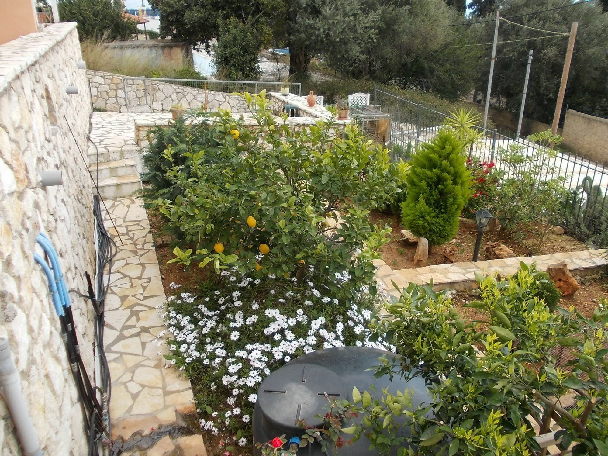 Sarakinos Apartments Barbati Extérieur photo